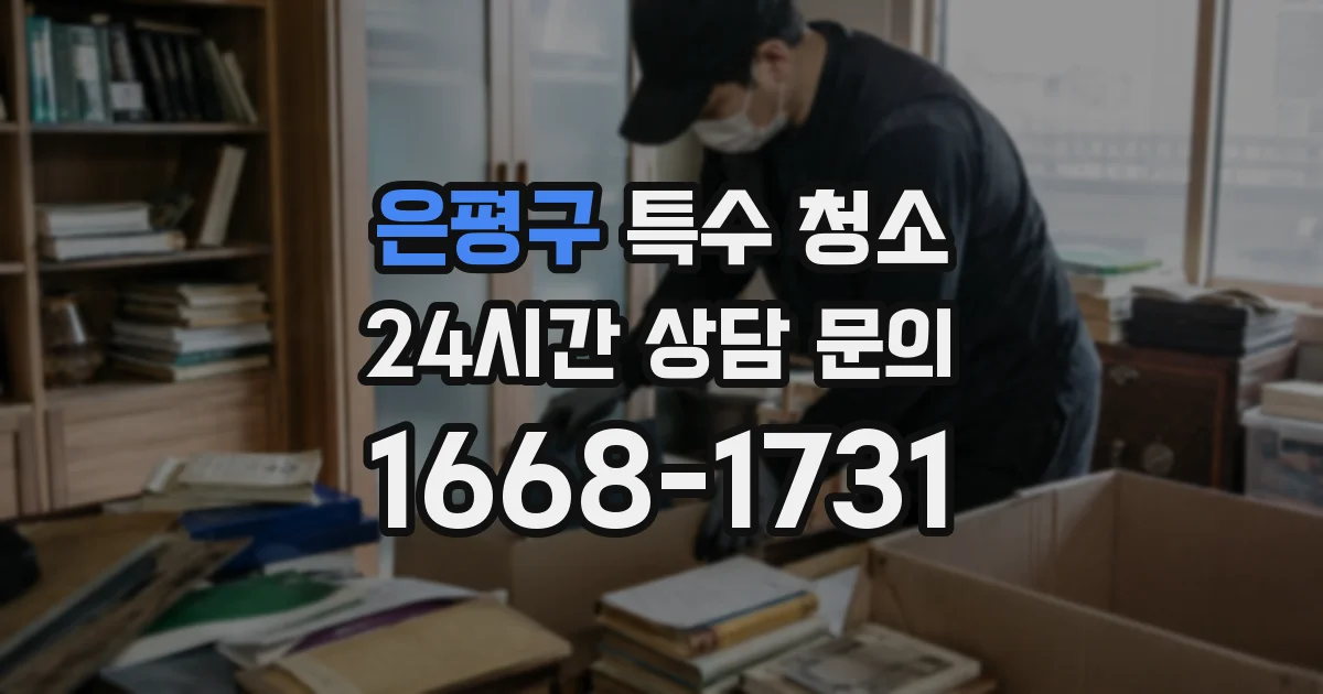 은평구 특수 청소
