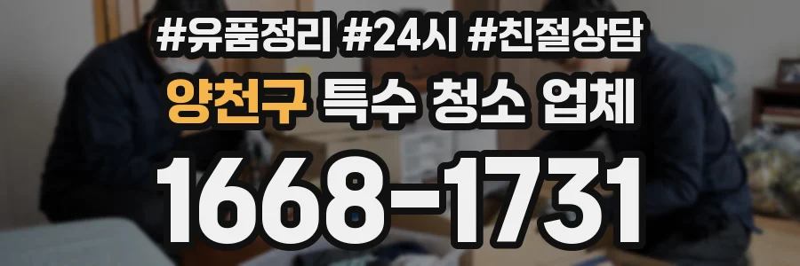 양천구 특수 청소 업체