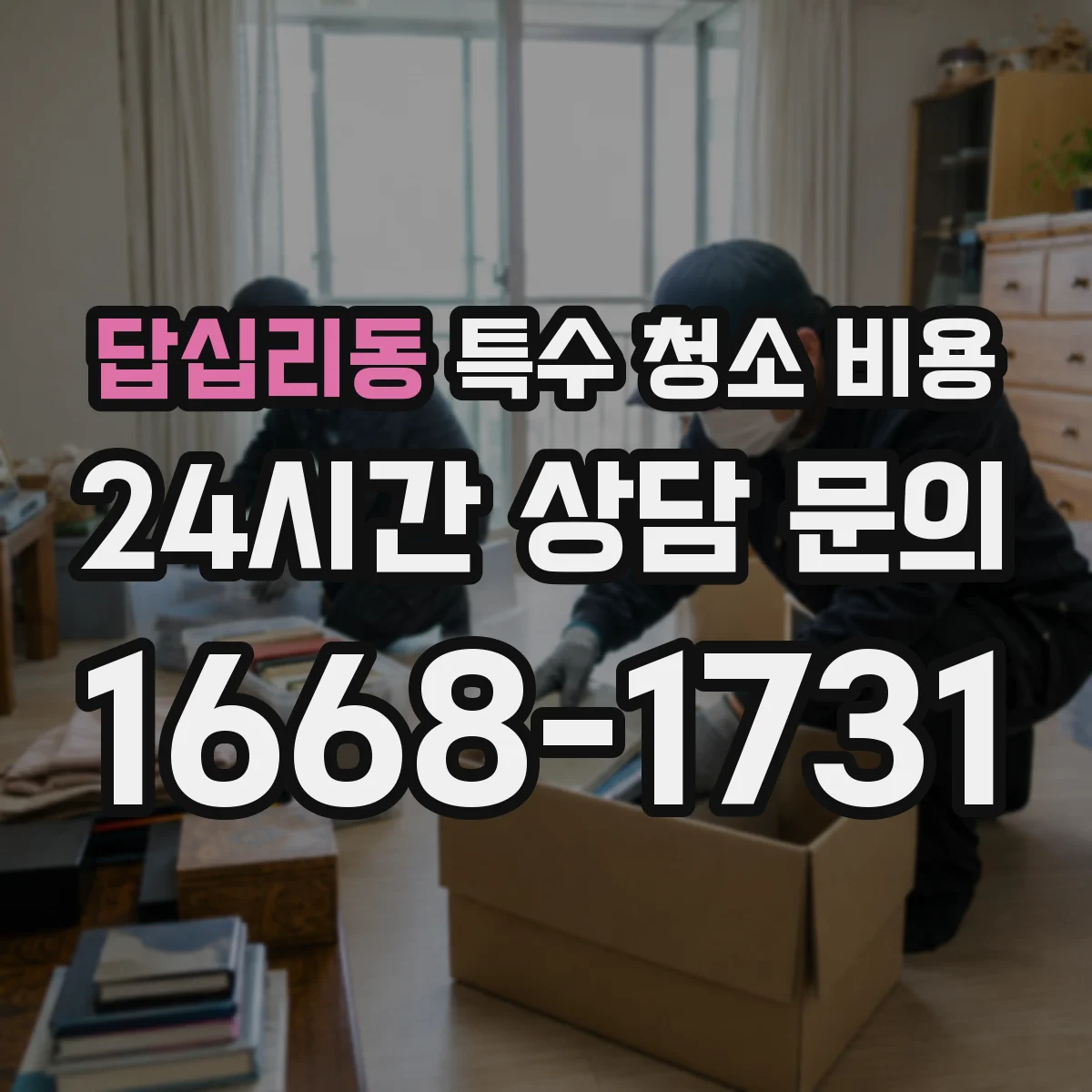 답십리동 특수 청소 비용
