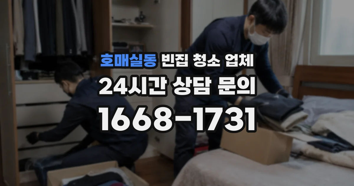 호매실동 빈집 청소 업체
