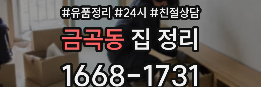 금곡동 집 정리