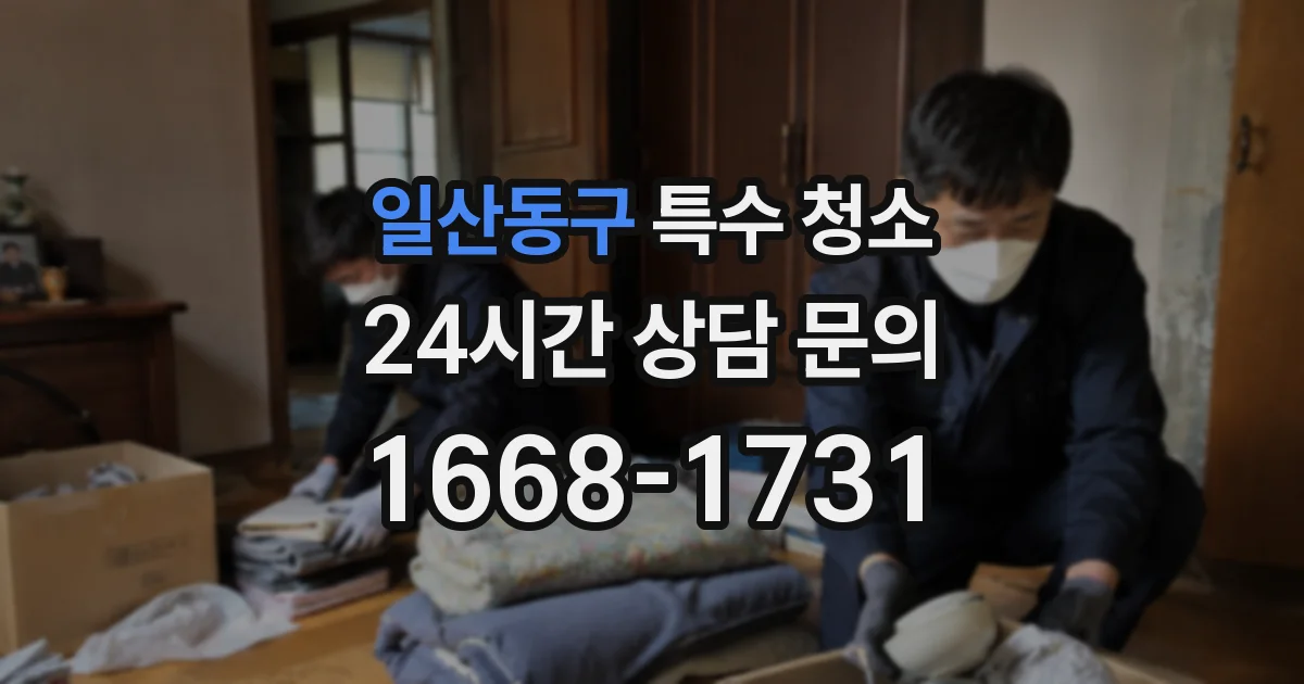 일산동구 특수 청소