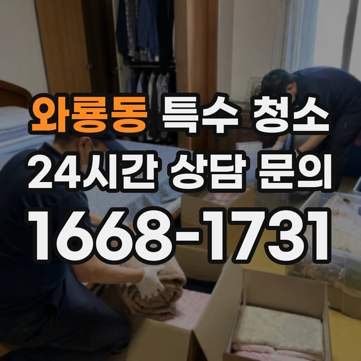 와룡동 특수 청소
