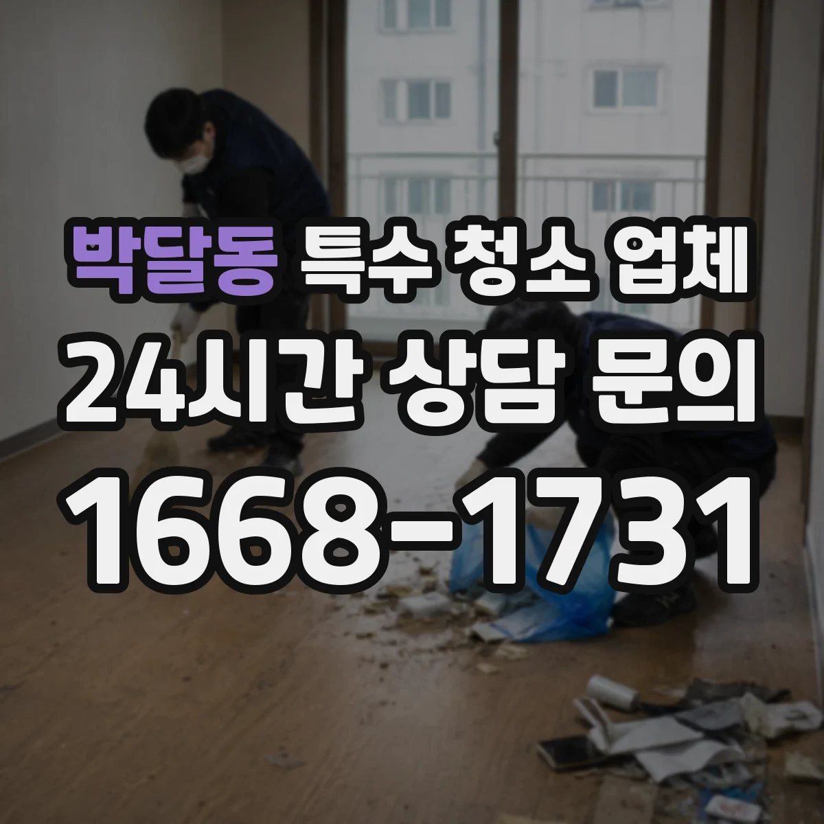 박달동 특수 청소 업체