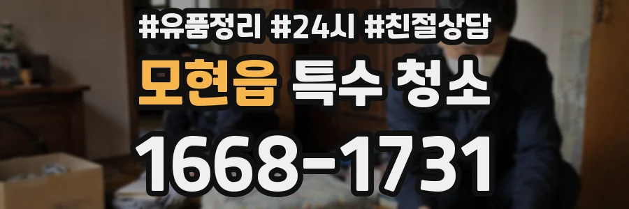 모현읍 특수 청소