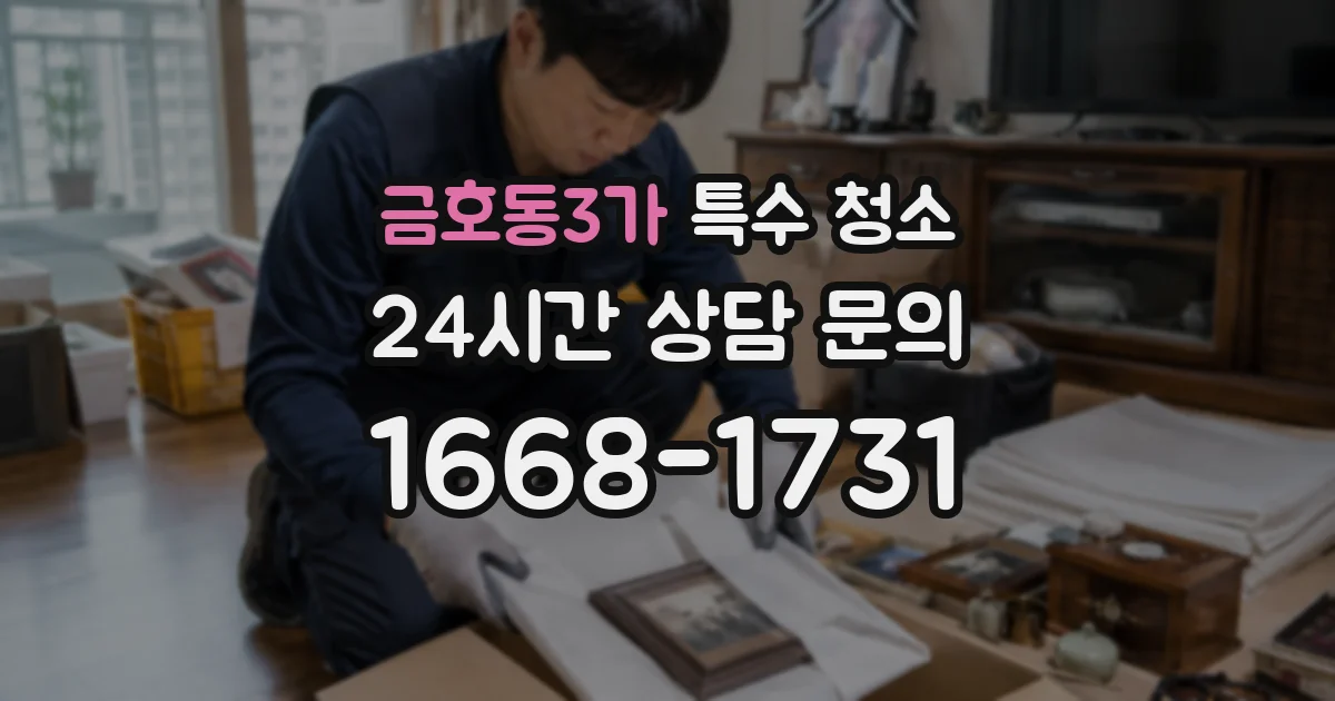 금호동3가 특수 청소