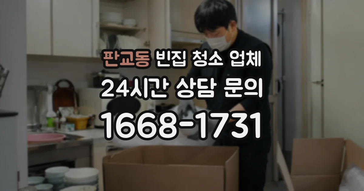 판교동 빈집 청소 업체