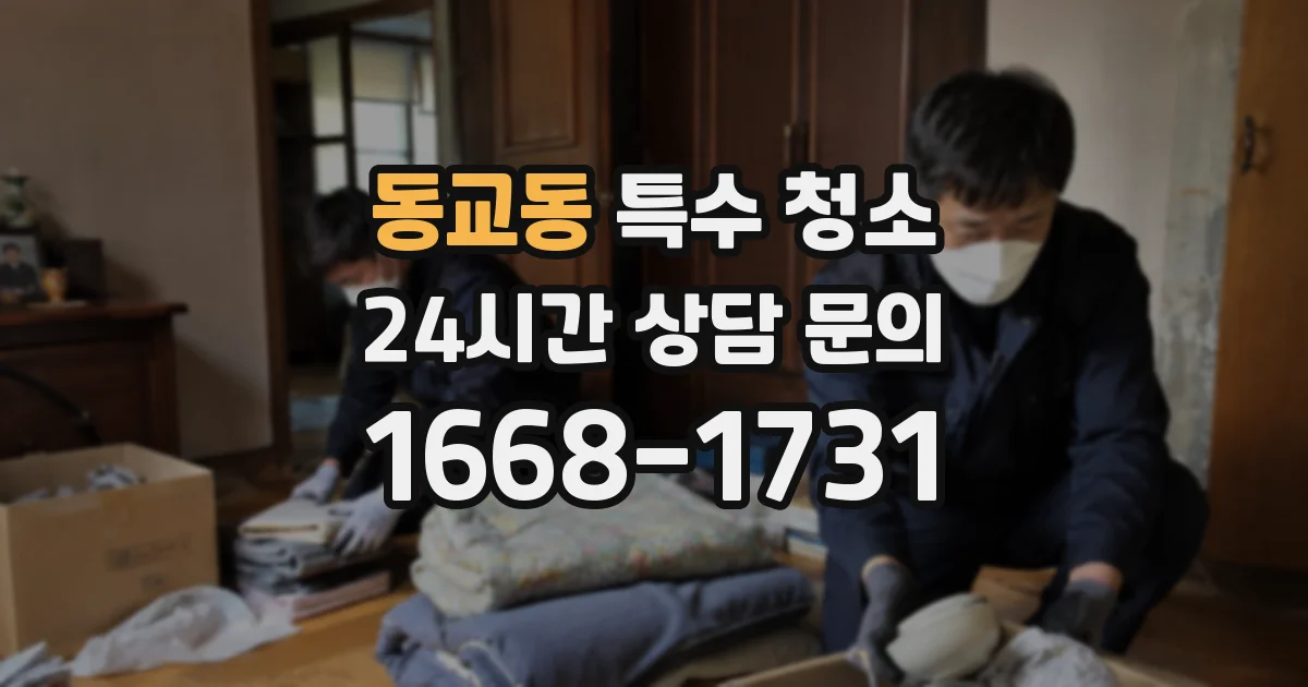 동교동 특수 청소