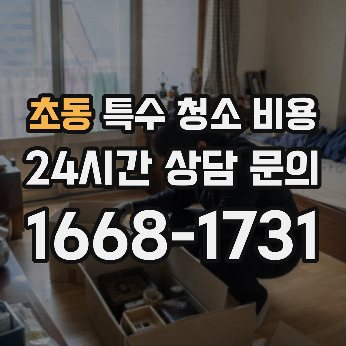 초동 특수 청소 비용