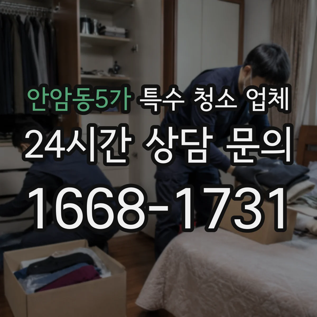 안암동5가 특수 청소 업체