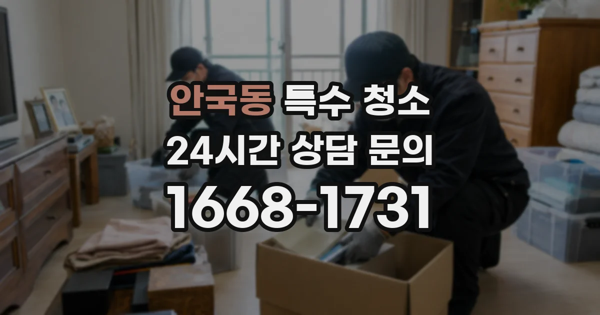 안국동 특수 청소