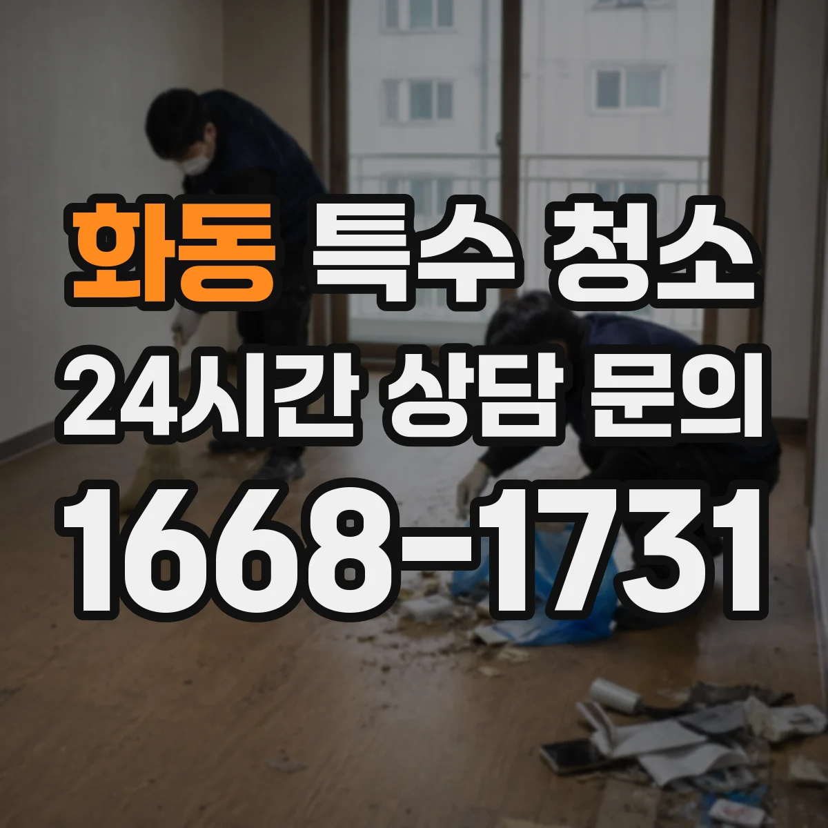 화동 특수 청소