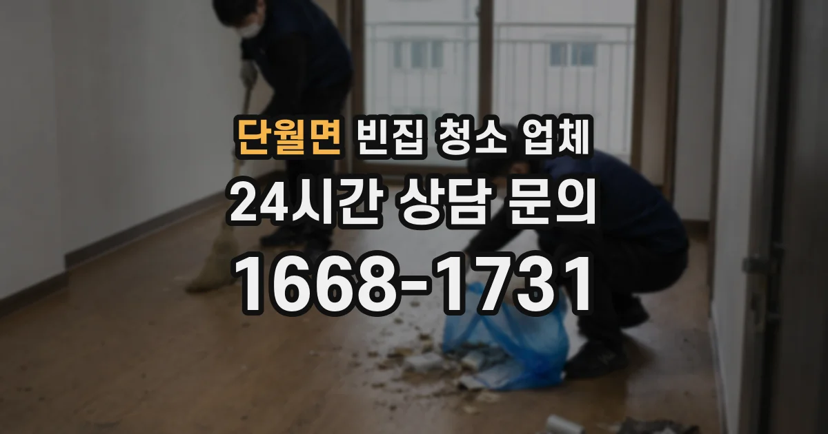 단월면 빈집 청소 업체