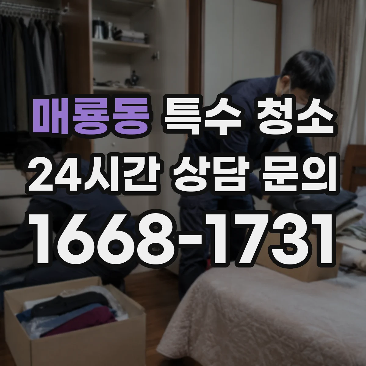 매룡동 특수 청소