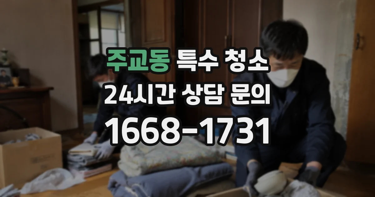 주교동 특수 청소