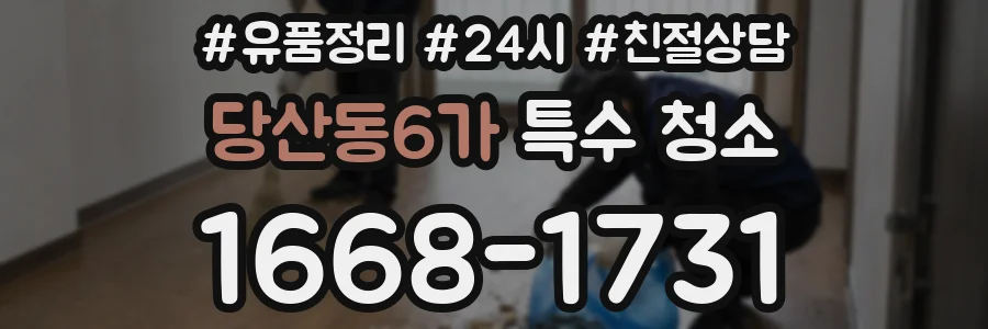 당산동6가 특수 청소