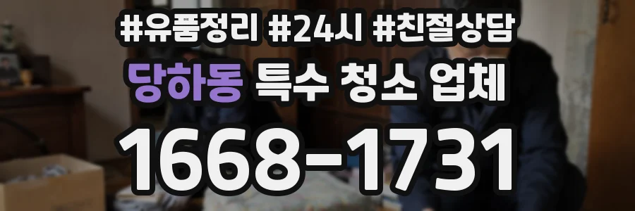 당하동 특수 청소 업체