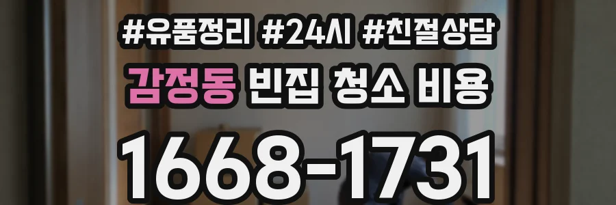 감정동 빈집 청소 비용