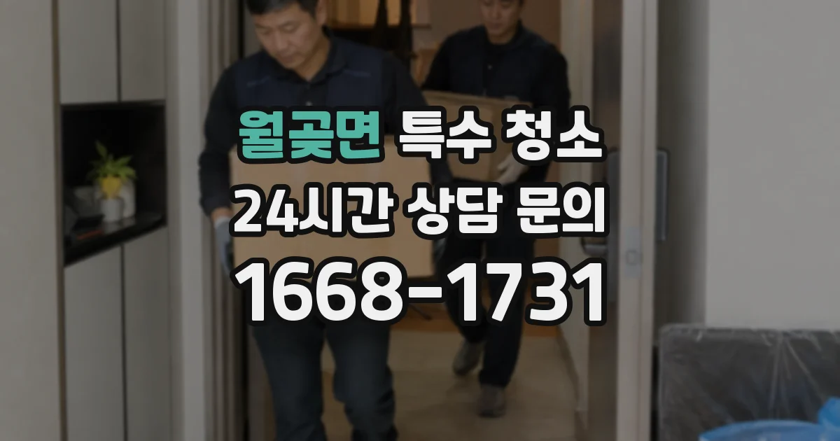 월곶면 특수 청소