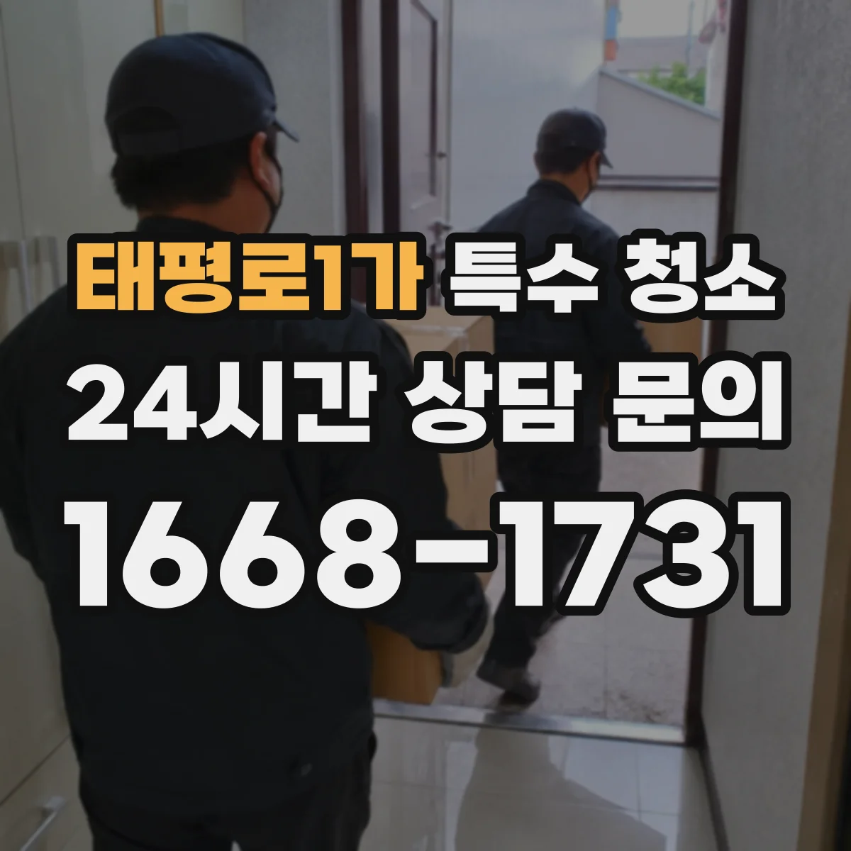 태평로1가 특수 청소