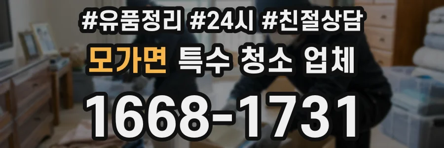 모가면 특수 청소 업체