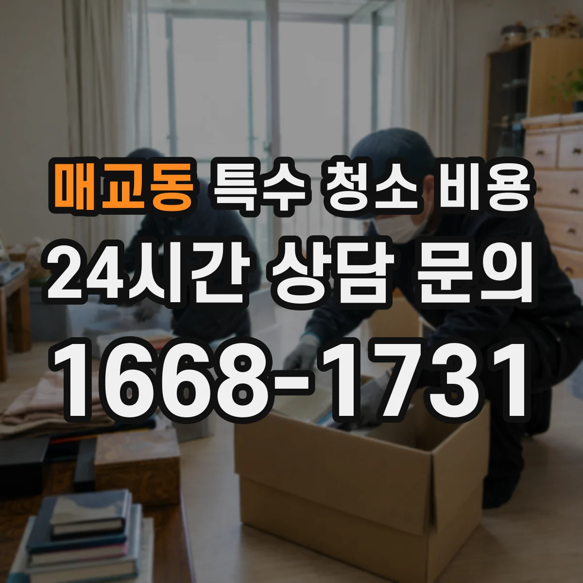 매교동 특수 청소 비용