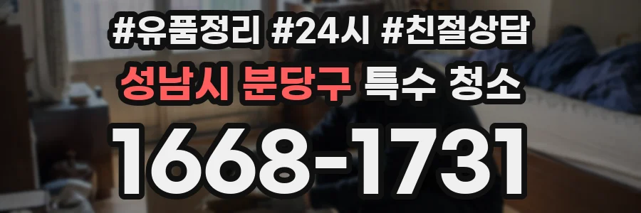 성남시 분당구 특수 청소