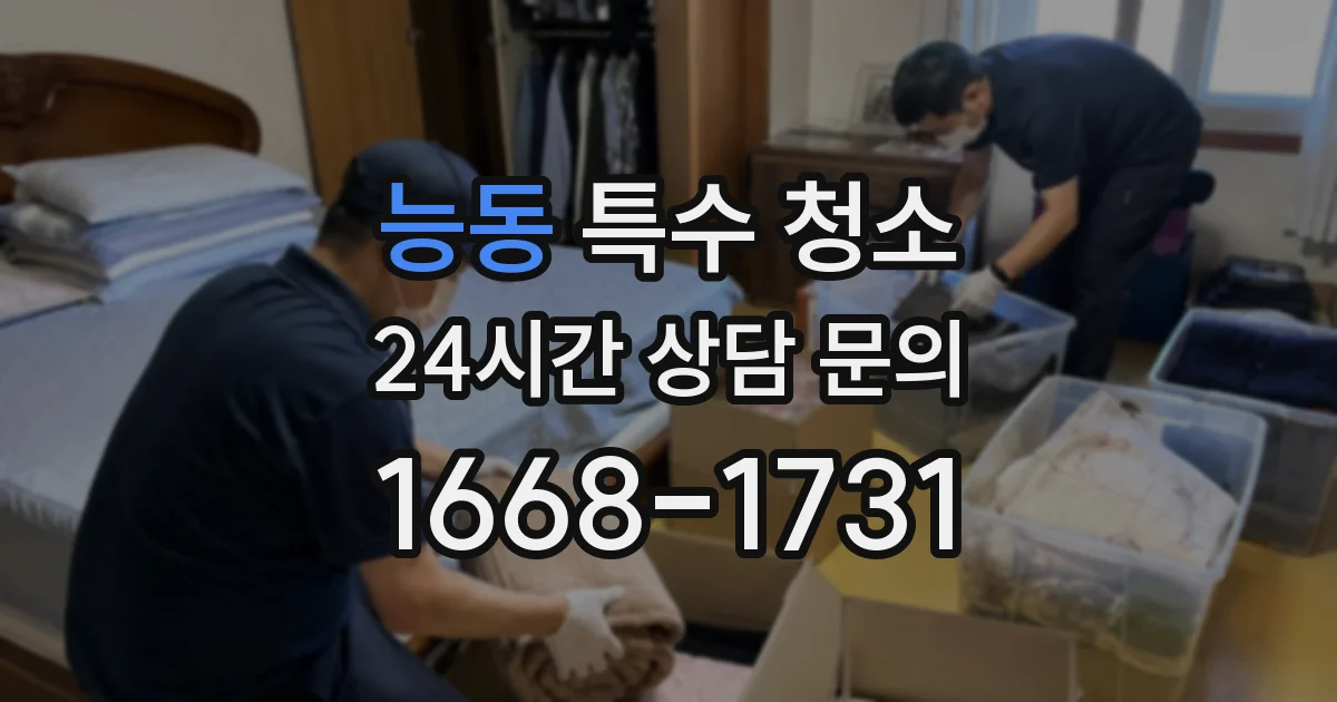 능동 특수 청소