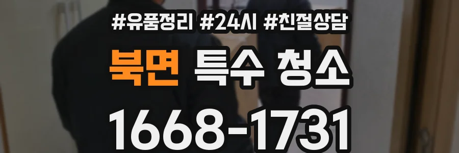 북면 특수 청소