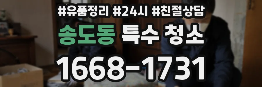 송도동 특수 청소
