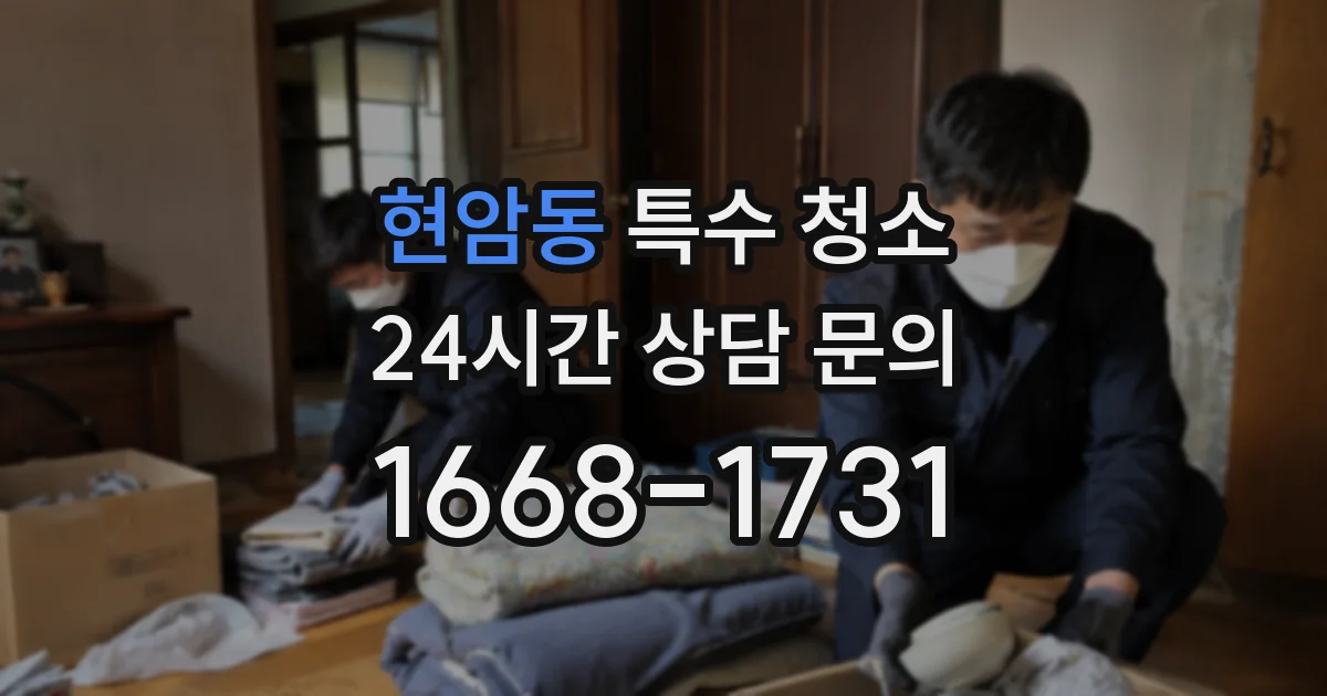 현암동 특수 청소