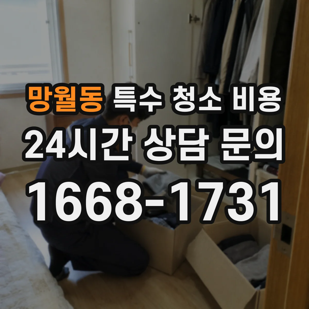망월동 특수 청소 비용