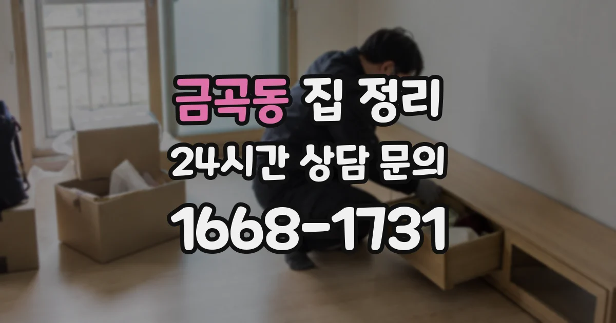 금곡동 집 정리