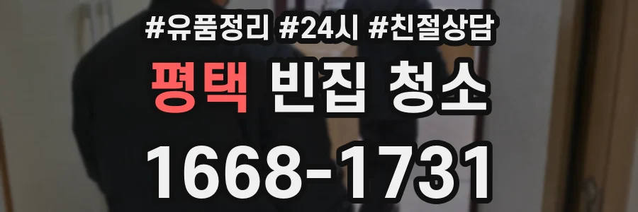 평택 빈집 청소