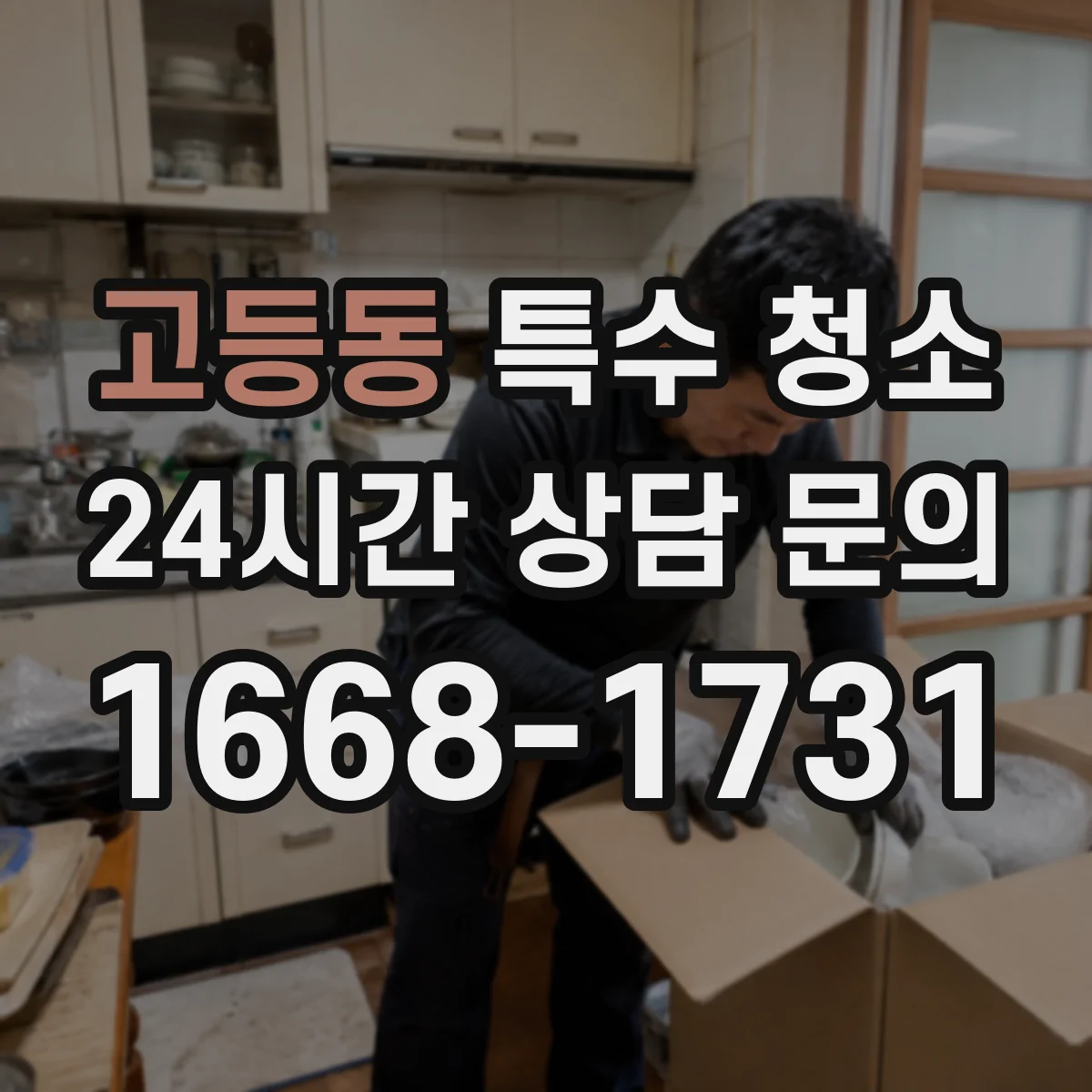 고등동 특수 청소