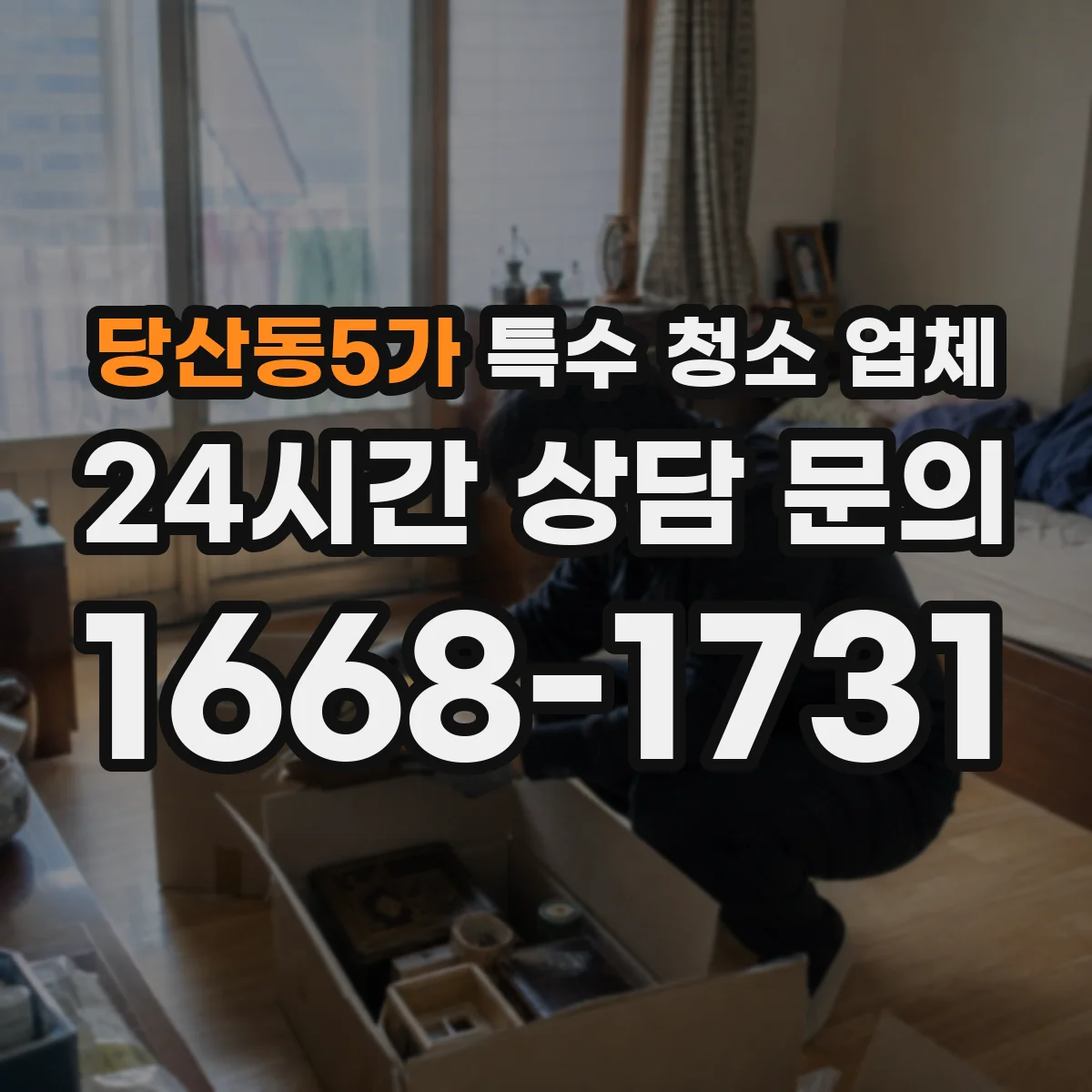당산동5가 특수 청소 업체