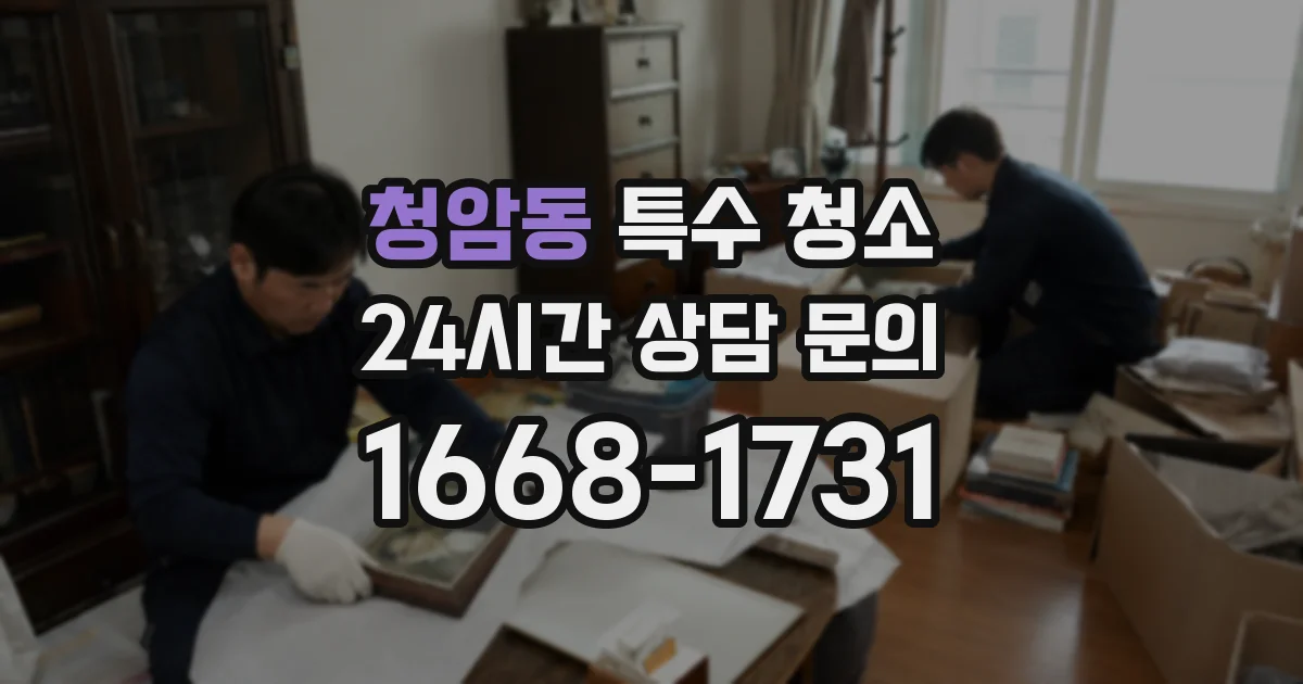 청암동 특수 청소