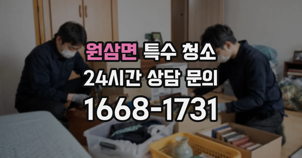 원삼면 특수 청소