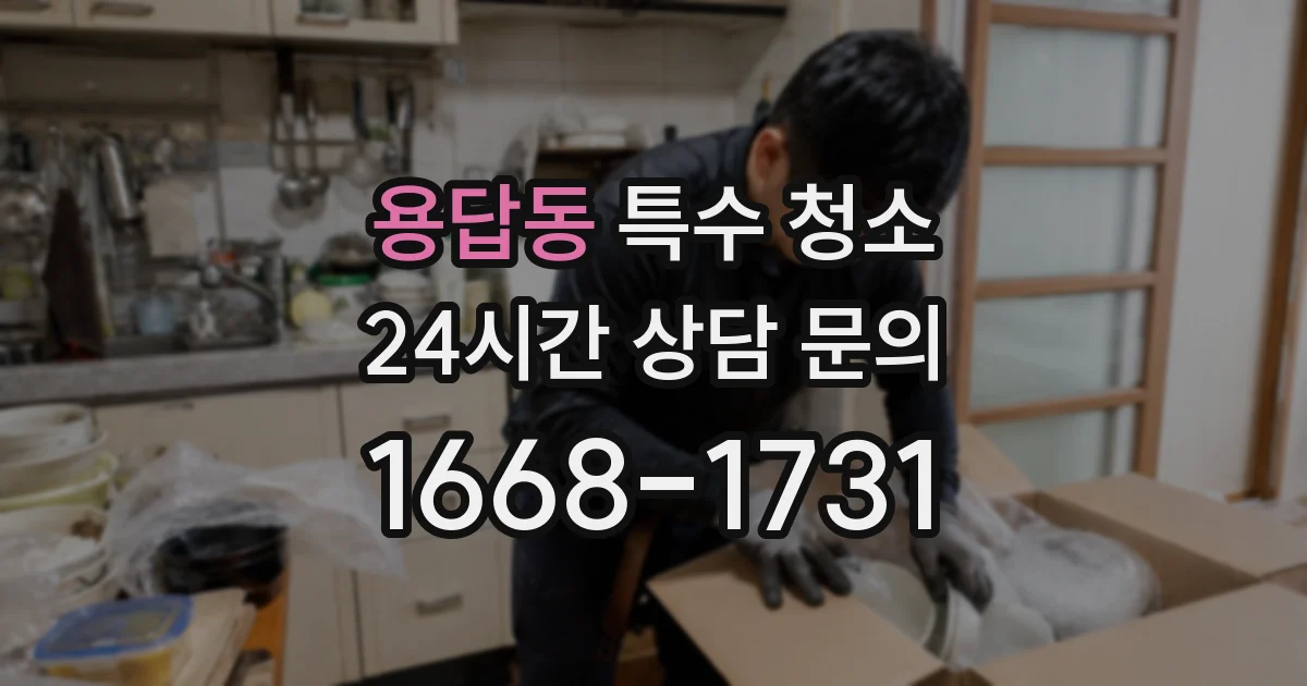 용답동 특수 청소