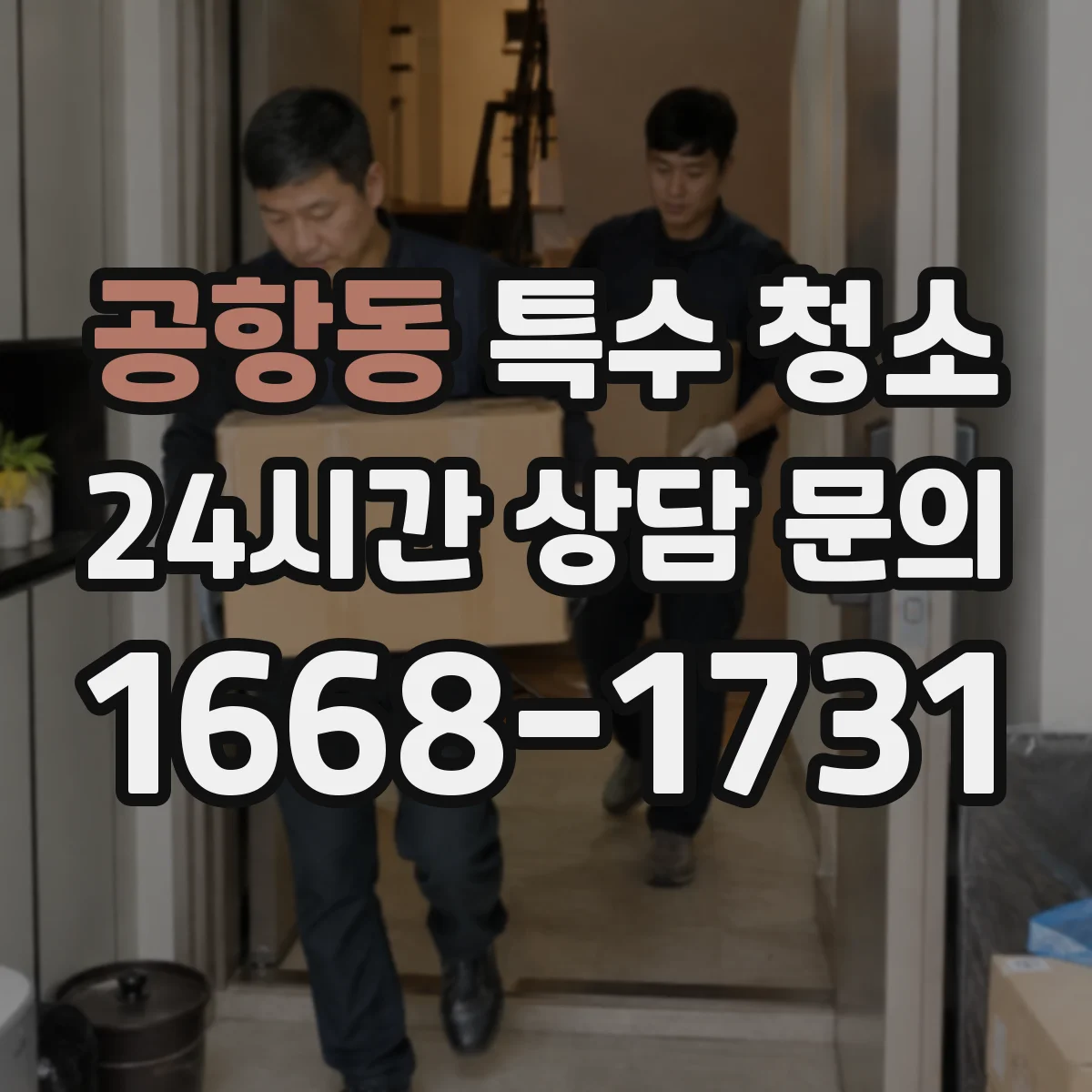 공항동 특수 청소
