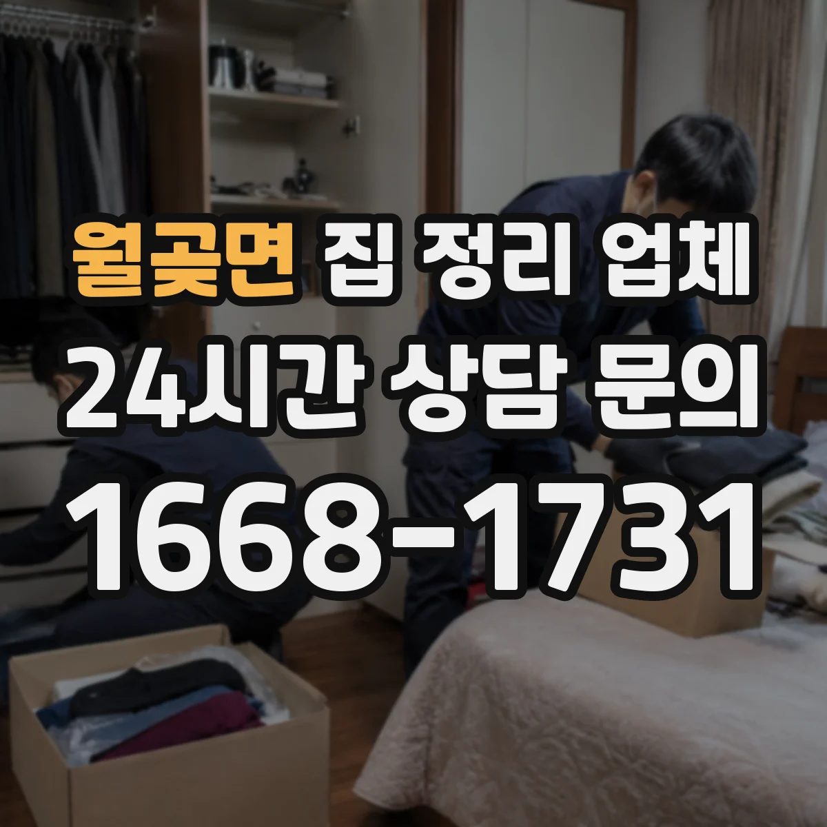 월곶면 집 정리 업체