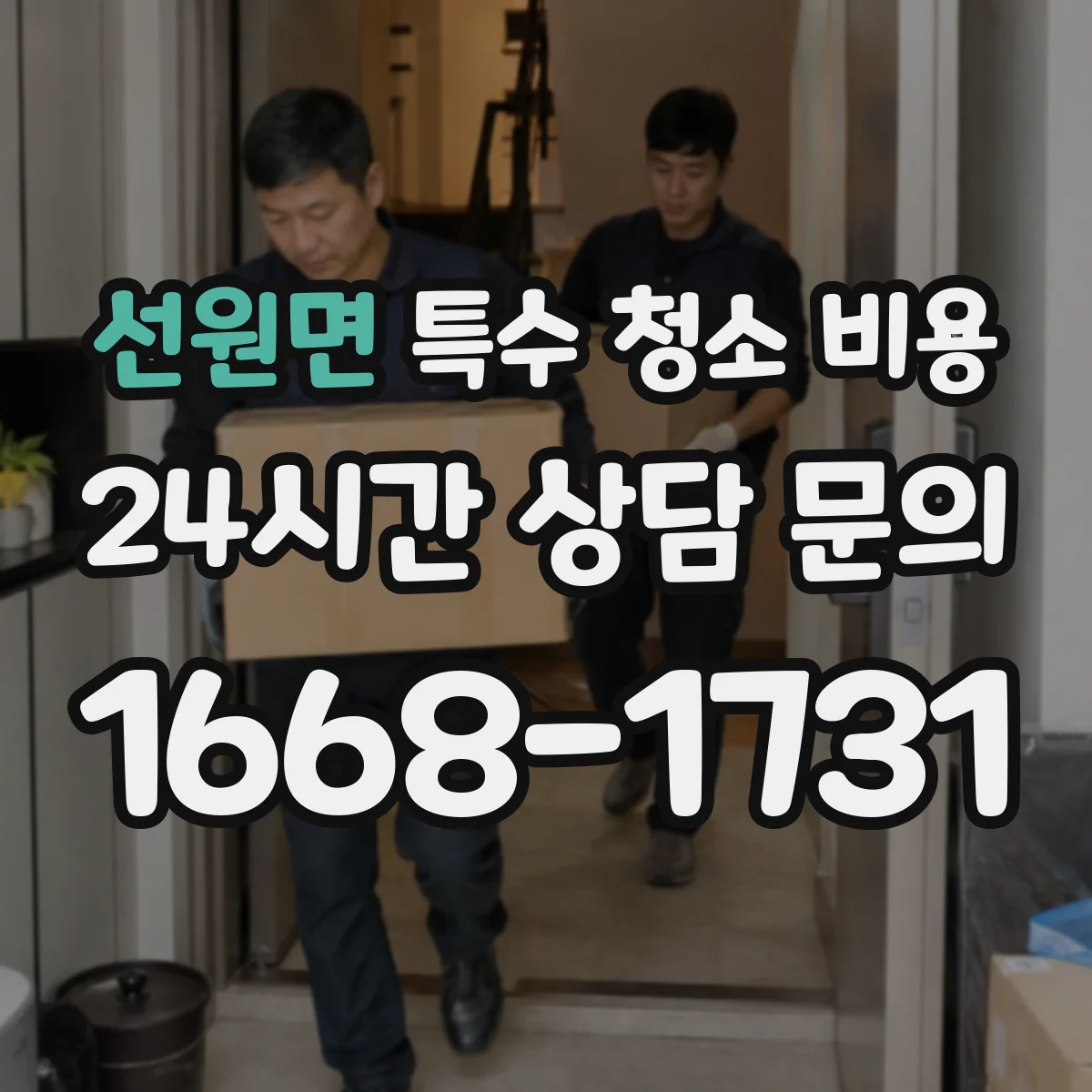 선원면 특수 청소 비용