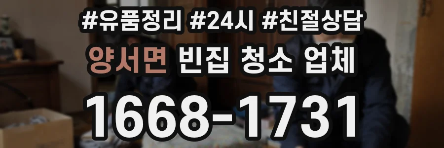 양서면 빈집 청소 업체