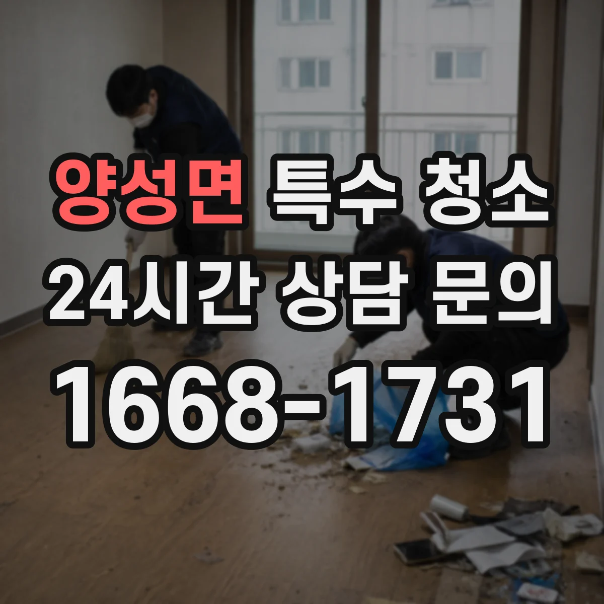 양성면 특수 청소