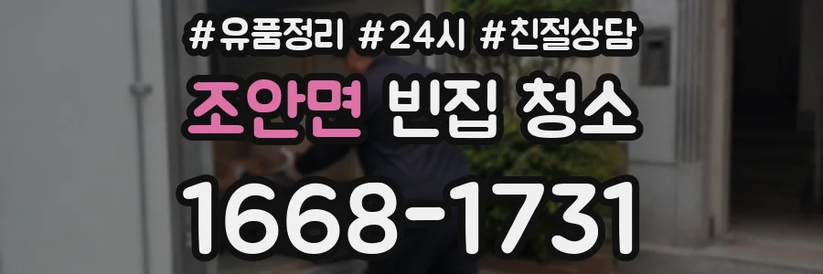 조안면 빈집 청소