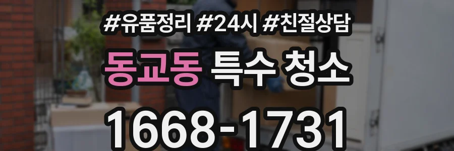 동교동 특수 청소