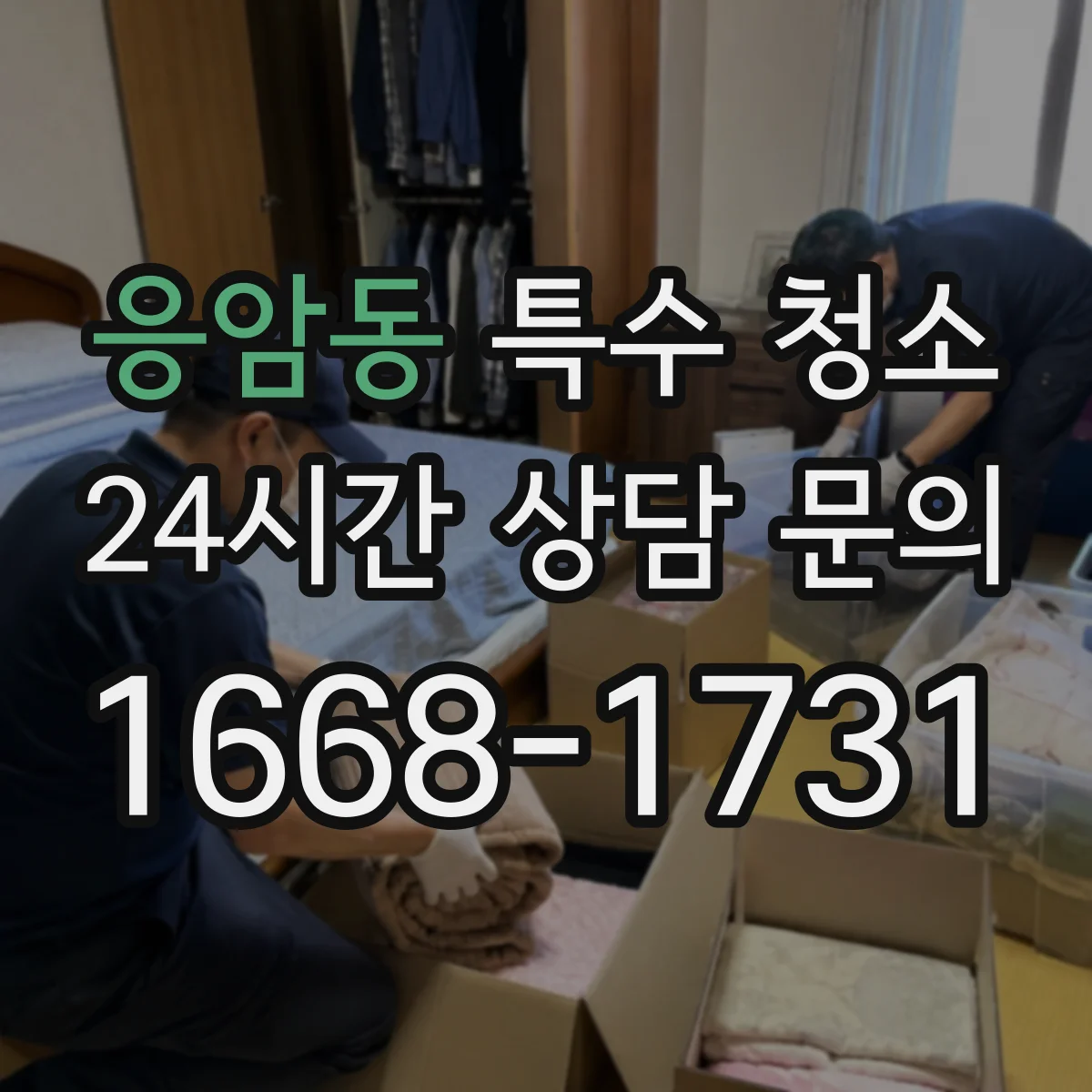 응암동 특수 청소