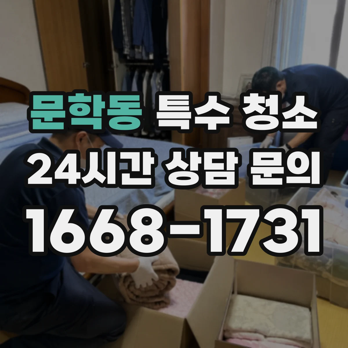 문학동 특수 청소