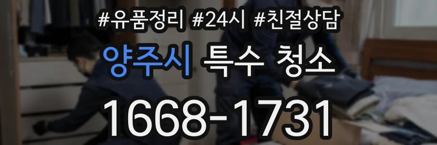양주시 특수 청소