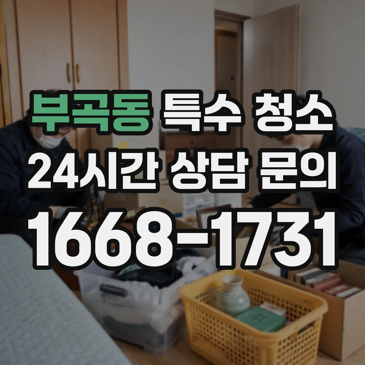부곡동 특수 청소
